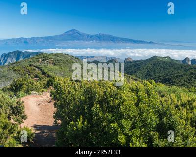 Ammira l'isola di Tenerife e Pico del Teide sulla foresta e le colline del Parco Nazionale di Garajonay, vista dalla vetta dell'alto de al monte Garajonay. Bianco Foto Stock