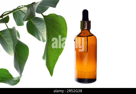 Rimedi naturali, aromaterapia - contagocce & bottiglia. Bio-medicina alternativa organica Foto Stock