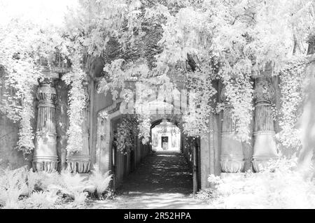 Egyptian Avenue a Highgate Cemetery West, Londra Foto Stock