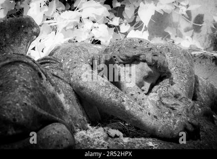 Statua dell'angelo che riposa nell'Highgate Cemetery West, Londra Foto Stock