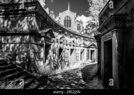 Tombe a Circle of Lebanon, Highgate Cemetery West, Londra Foto Stock