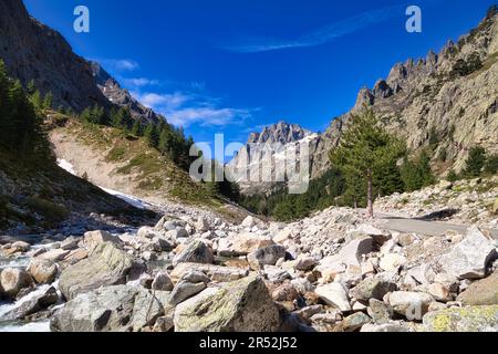 Valle di Restonica nei pressi di Corte, Corsica, Francia Foto Stock