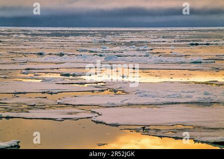 Il sole di mezzanotte splende sull'oceano artico con i galleggianti di ghiaccio, Svalbard, Norvegia Foto Stock