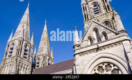 Le guglie della cattedrale anglicana di San Fin barre nella città irlandese di Cork. Una chiesa cristiana in stile neogotico. chiesa. Religione cristiana Foto Stock
