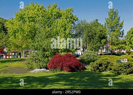 Giardino termale, strada del vino meridionale, strada del vino tedesco, Bad Bergzabern, Renania-Palatinato, Germania Foto Stock