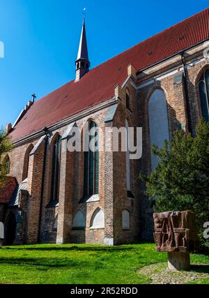 Chiesa universitaria nel complesso del Monastero della Santa Croce, Città anseatica di Rostock, Mar Baltico, Meclemburgo-Pomerania occidentale, Germania Foto Stock