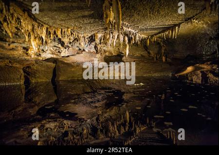 Marble Arch Caves, Florencecourt, Florence Court Demesme, Irlanda del Nord Foto Stock