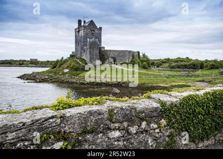 Dunguaire Castle, Kinvara, County Galway, Dunguaire Castle, Irlanda Foto Stock