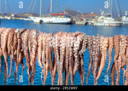 Polpi, appesi ad asciugare, porto, Naxos, Cicladi, Grecia Foto Stock