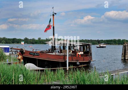 Barca in legno, Werder an der Havel, Brandeburgo, Germania, molo, ormeggio barche Foto Stock