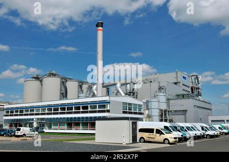 Impianto di cogenerazione da biomassa RWE, teleriscaldamento, centrale a legna, Neukoelln, Berlino, Germania Foto Stock