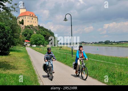 Ciclisti, Neuhirschstein sull'Elba, Sassonia, Germania, pista ciclabile, rifugio di caccia, Pista ciclabile dell'Elba, pista ciclabile a lunga distanza Foto Stock