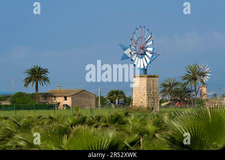Mulino a vento vicino a Sant Jordi, Maiorca, Isole Baleari, Spagna, Mulino a vento Foto Stock