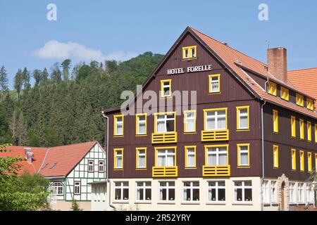 Hotel Forelle Treseburg sulle montagne Harz Foto Stock