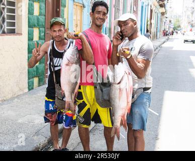 Pescatori cubani con il pescato fresco del giorno a l'Avana, Cuba. Foto Stock