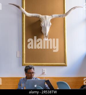 NEW ORLEANS, LA, USA - 21 MARZO 2023: Uomo di mezza età che lavora sul suo computer portatile in una caffetteria con un cranio di longhorn sulla parete dietro di lui Foto Stock