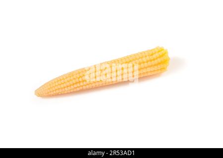 Granoturco singolo isolato su sfondo bianco. Piccolo zucchercorn sott'aceto Foto Stock