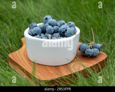 Ciotola in ceramica piena di mirtilli maturi sull'erba, fuoco selettivo. Concetto di picnic, colazione all'aperto Foto Stock