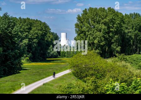 Prati del Reno nei pressi di Duisburg-Beeckerwerth, sentiero pedonale, pista ciclabile sulla diga del Reno, vista della centrale elettrica di STEAG Walsum, centrale a carbone, NRW, G Foto Stock