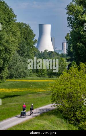 Prati del Reno nei pressi di Duisburg-Beeckerwerth, sentiero pedonale, pista ciclabile sulla diga del Reno, vista della centrale elettrica di STEAG Walsum, centrale a carbone, NRW, G Foto Stock