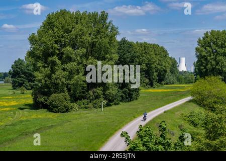 Prati del Reno nei pressi di Duisburg-Beeckerwerth, sentiero pedonale, pista ciclabile sulla diga del Reno, vista della centrale elettrica di STEAG Walsum, centrale a carbone, NRW, G Foto Stock