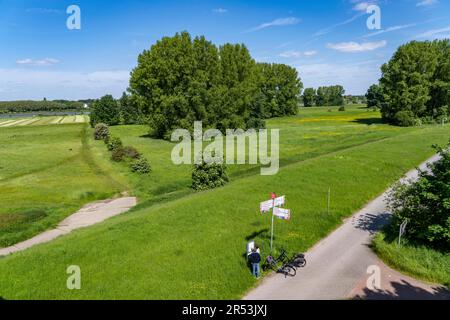 Prati del Reno nei pressi di Duisburg-Beeckerwerth, sentiero pedonale, pista ciclabile sulla diga del Reno, segnaletica per pista ciclabile, svincolo, NRW, Germania, Foto Stock