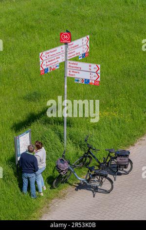 Prati del Reno nei pressi di Duisburg-Beeckerwerth, sentiero pedonale, pista ciclabile sulla diga del Reno, segnaletica per pista ciclabile, svincolo, NRW, Germania, Foto Stock