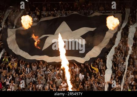 Rio de Janeiro, Brasile. 31st maggio, 2023. RJ - RIO DE JANEIRO - 05/31/2023 - COPA DO BRASIL 2023, BOTAFOGO X ATHLETICO-PR - tifosi del Botafogo durante una partita contro Athletico-PR allo stadio Engenhao per il campionato 2023 della Copa do Brasil. Foto: Jorge Rodrigues/AGIF/Sipa USA Credit: Sipa USA/Alamy Live News Foto Stock