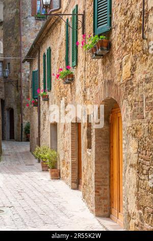 Porte in un vicolo nel cortile con piante fiorite alle finestre Foto Stock