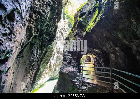 Passerella sulla scogliera lungo il fiume Aare attraverso la Gola Aare (Aareschlucht), Oberland Bernese, Svizzera Foto Stock