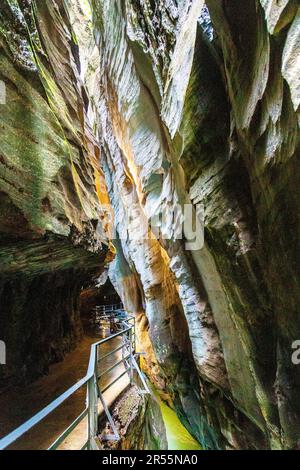 Passerella sulla scogliera lungo il fiume Aare attraverso la Gola Aare (Aareschlucht), Oberland Bernese, Svizzera Foto Stock