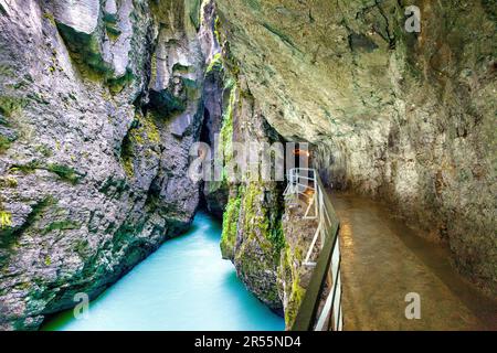 Passerella sulla scogliera lungo il fiume Aare attraverso la Gola Aare (Aareschlucht), Oberland Bernese, Svizzera Foto Stock