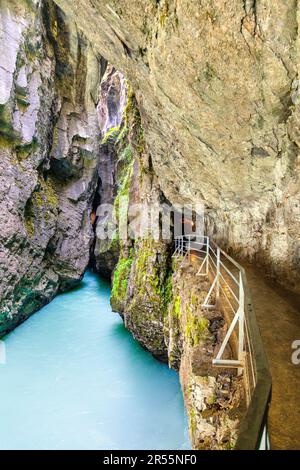 Passerella sulla scogliera lungo il fiume Aare attraverso la Gola Aare (Aareschlucht), Oberland Bernese, Svizzera Foto Stock