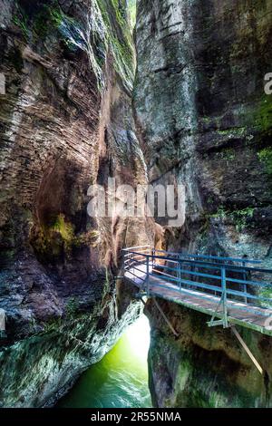 Passerella sulla scogliera lungo il fiume Aare attraverso la Gola Aare (Aareschlucht), Oberland Bernese, Svizzera Foto Stock