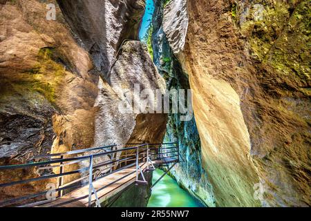 Passerella sulla scogliera lungo il fiume Aare attraverso la Gola Aare (Aareschlucht), Oberland Bernese, Svizzera Foto Stock