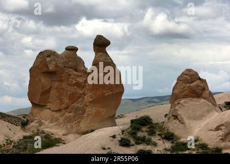 Una famosa formazione rocciosa conosciuta come il cammello nella valle del Devrent che si trova nella regione della Cappadocia di Turkiye. Foto Stock