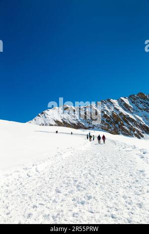 Vista sulle cime innevate lungo il sentiero escursionistico dalla cima della Jungfrau al rifugio Mönchsjoch, al trugberg moutain, alle Alpi svizzere, alla Svizzera Foto Stock