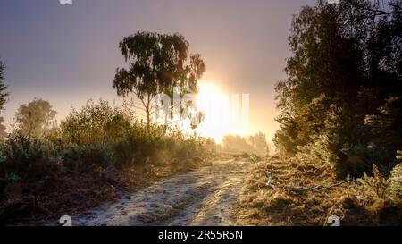 Midhurst, Regno Unito - 26 agosto 2022: Alba su Iping Common, South Downs National Park, West Sussex Foto Stock