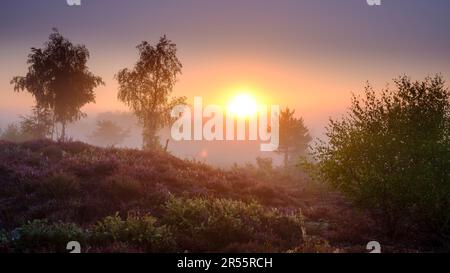 Midhurst, Regno Unito - 26 agosto 2022: Alba su Iping Common, South Downs National Park, West Sussex Foto Stock