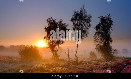 Midhurst, Regno Unito - 26 agosto 2022: Alba su Iping Common, South Downs National Park, West Sussex Foto Stock