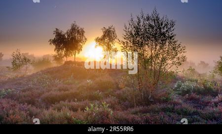 Midhurst, Regno Unito - 26 agosto 2022: Alba su Iping Common, South Downs National Park, West Sussex Foto Stock