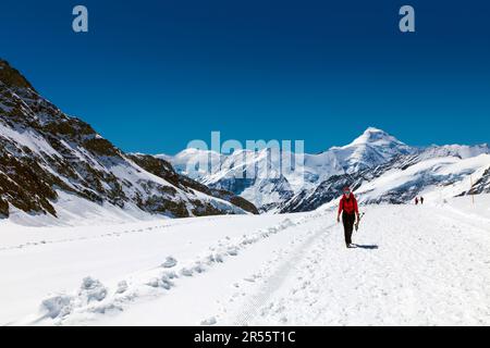 Sentiero escursionistico dalla cima della Jungfrau al rifugio Mönchsjoch con vista sulle montagne circostanti e sul ghiacciaio Aletsch, sulle Alpi svizzere, sulla Svizzera Foto Stock