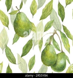 Acquerello senza cuciture con illustrazione di appetitosi avocado di asino verde e foglie su sfondo bianco. Foto Stock