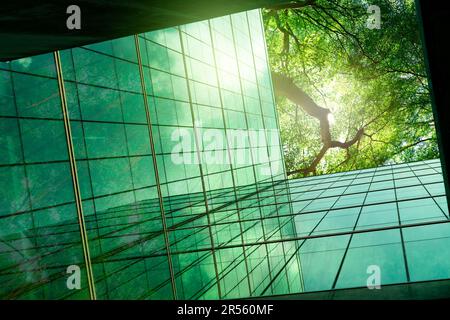 Edificio verde e di sostenibilità. Edificio ecologico nella città moderna. ESG. Edificio di uffici in vetro sostenibile con albero verde. Ufficio con ambiente verde Foto Stock