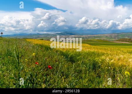 La natura intorno al Fiume Rosso (Kizilirmak in turco) un tempo conosciuto come Halys, Turchia Foto Stock