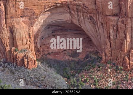 Rovine di Betatakin presso il Navajo National Monument vicino a Kayenta, Arizona, USA Foto Stock