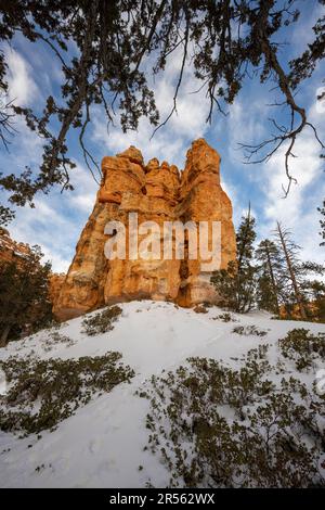 Rock hoodoos nella neve, Bryce Canyon National Park nella neve, Utah, USA Foto Stock