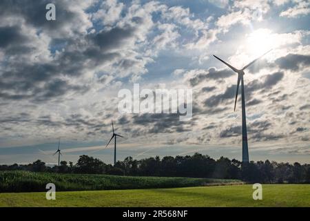 Silhouette di turbine eoliche su un verde campo agricolo agrario contro le nuvole drammatiche prima della tempesta. Foto di alta qualità Foto Stock
