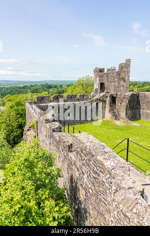 Castello di Dinefwr (Castello di Dynevor), Llandeilo, Carmarthenshire, Galles sudoccidentale Regno Unito Foto Stock