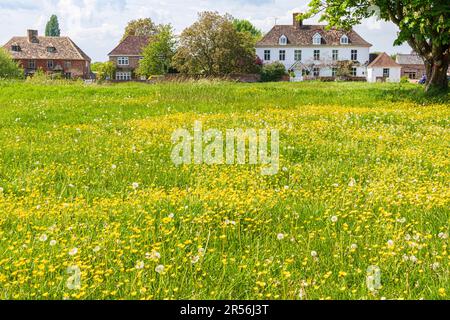 Farfalle in primavera su uno dei più grandi verdi villaggio nel Regno Unito presso il villaggio Severnside di Frampton su Severn, Gloucestershire, Inghilterra UK Foto Stock